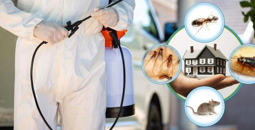 Gürgentepe Böcek İlaçlama