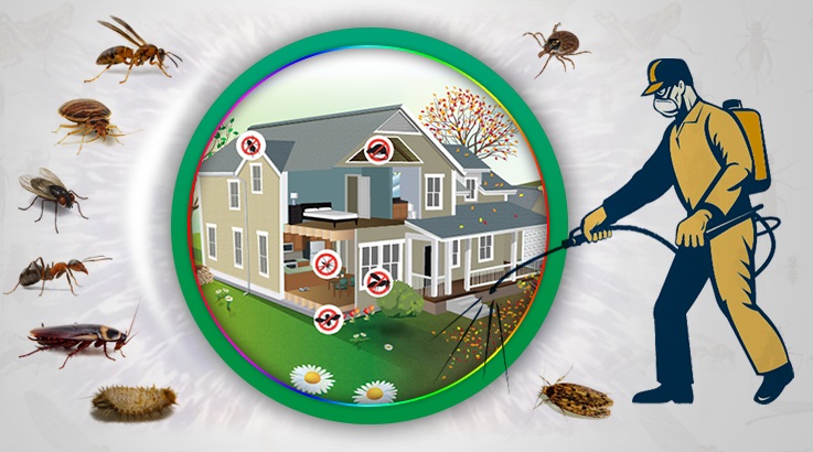 Gürgentepe Böcek İlaçlama