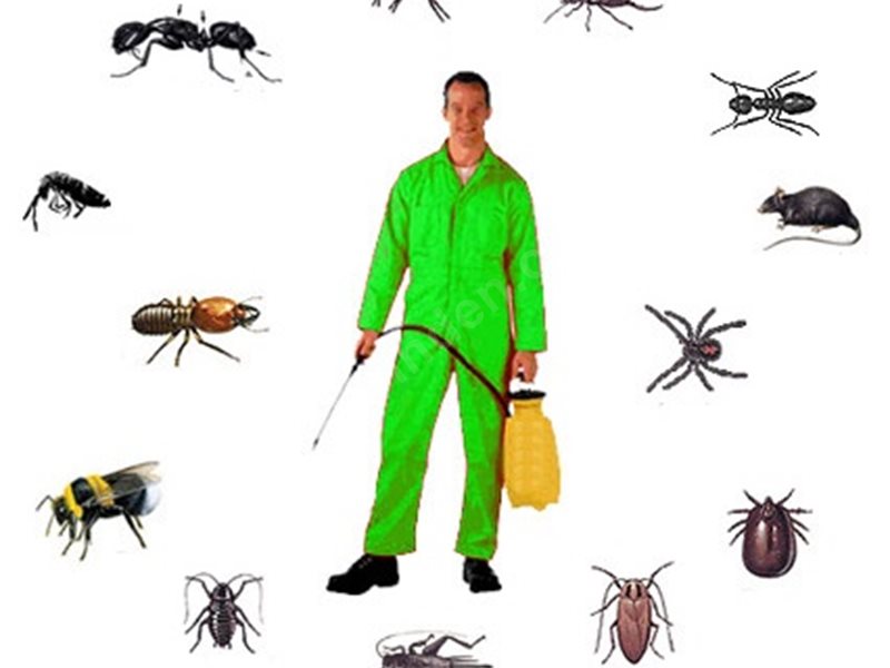 Gürgentepe Böcek İlaçlama